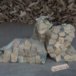 Buche trocken Netzsack